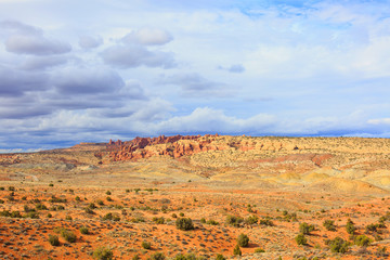 Desert landscape in the spring, Utah, USA.