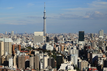 コンクリートジャングルの東京都市部と日本一高い展望塔