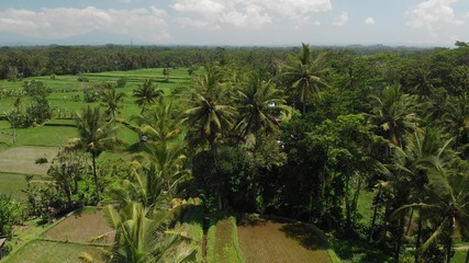 Fototapeta na wymiar 4K aerial view of beautiful tropical landscape. Bali island.