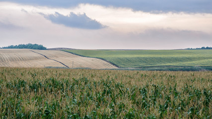 landscape field