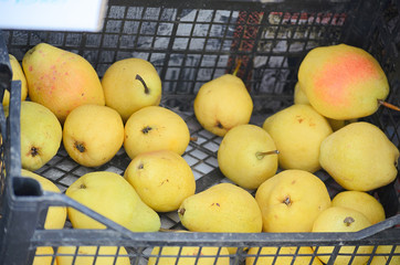 pears