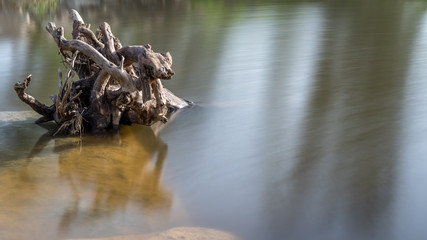 Beautiful long exposure landscape in a nature reserve during a windy winters day 