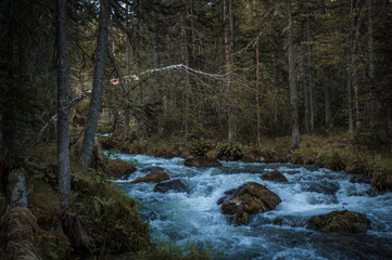 taiga forest trail over rapid mountain stream with cold blue water saturated