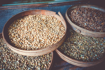 Kopi Luwak coffe beans, Bali, Indonesia
