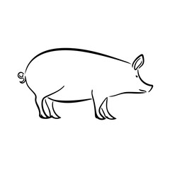 Pig
