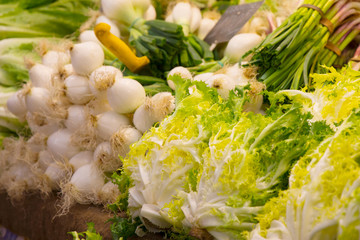 MIx de verduras para ensaladas