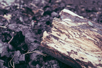 Fototapeta premium Closeup detail of tree log firewood on burnt hot charcoal remains from a outdoors summer barbecue campfire in the wilderness, with copyspace
