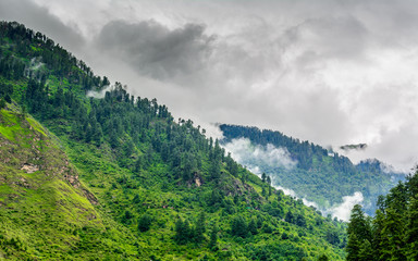Majestic Himalayan mountains covered with lush green forests and clouds in monsoon
