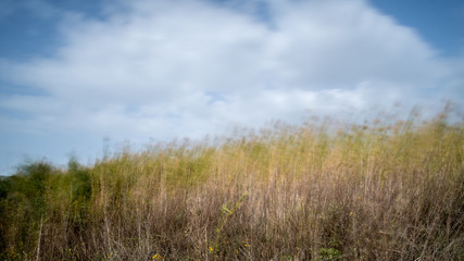 Long exposure landscape in during a windy winter day- Israel