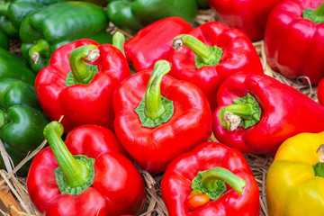 Fresh colorful Bell peppers in organic farm