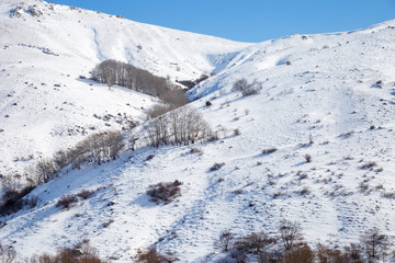 Fototapeta na wymiar winter in the mountains