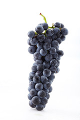 Fresh fruit black grapes. On white background