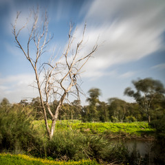 Beautiful long exposure landscape in a nature reserve during a windy winters day 