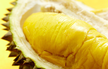Fresh fruit durian, closeup. On white background