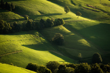 Hügelige Wiesenlandschaft von oben