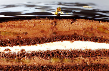 Delicious chocolate cake on a white background