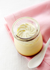 Delicious creamy pudding on a white background