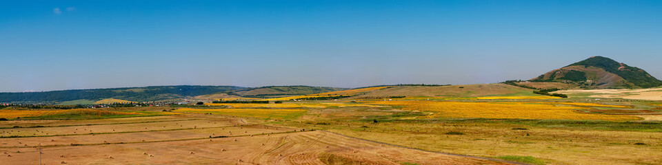 Fototapeta na wymiar Fields with blooming sunflower. Farm mowing, hay and straw for livestock in winter. Panorama