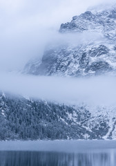 winter mountain landscape with trees and snow