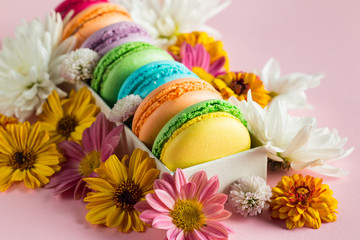 Still life and food photo of cake macarons in a gift box with flowers, a cup of tea on light background. Sweets and desserts concept of macaroons.