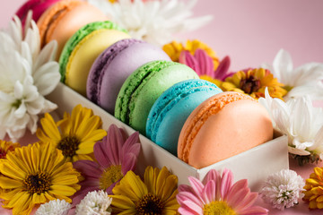 Still life and food photo of cake macarons in a gift box with flowers, a cup of tea on light background. Sweets and desserts concept of macaroons.