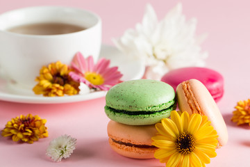 Plakat Still life and food photo of cake macarons in a gift box with flowers, a cup of tea on light background. Sweets and desserts concept of macaroons.