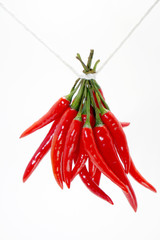 chili pepper isolated on a white background