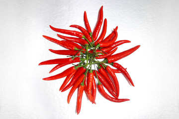 chili pepper isolated on a silver background