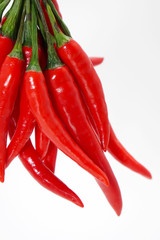 chili pepper isolated on a white background