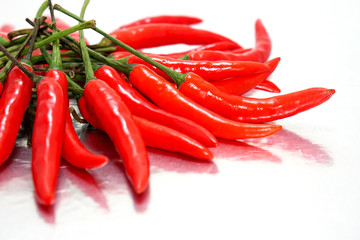 chili pepper isolated on a silver background