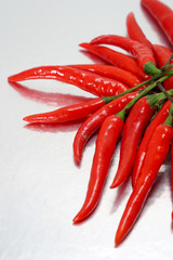 chili pepper isolated on a silver background
