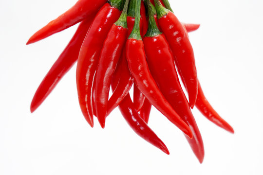 chili pepper isolated on a white background