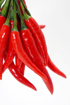 chili pepper isolated on a white background