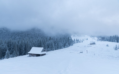 Fototapeta na wymiar small house in the mountains winter