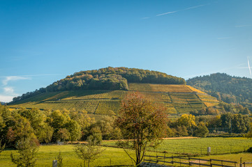 Castellberg bei Sulzburg im Markgr&auml;flerland