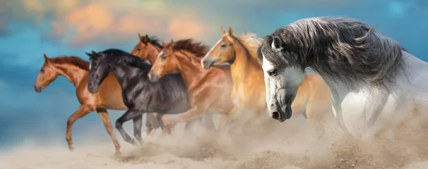 Fototapeten Pferdeherde galoppiert im Wüstenstaub gegen dramatischen Himmel © kwadrat70
