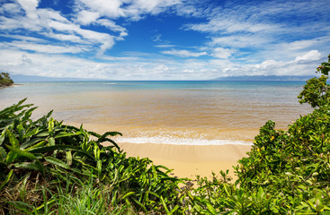 Hawaiian beach
