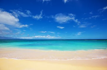Fototapeten Hawaiianischer Strand © Galyna Andrushko
