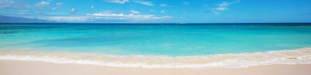 Zelfklevend Fotobehang Hawaiiaans strand © Galyna Andrushko