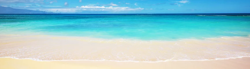 Zelfklevend Fotobehang Hawaiiaans strand © Galyna Andrushko