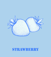 Garden strawberry fruit or strawberries