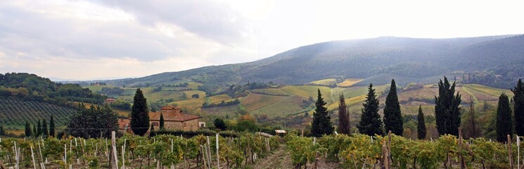 Panorámica de los Viñedos de San Gimignano en La Toscana, Italia.