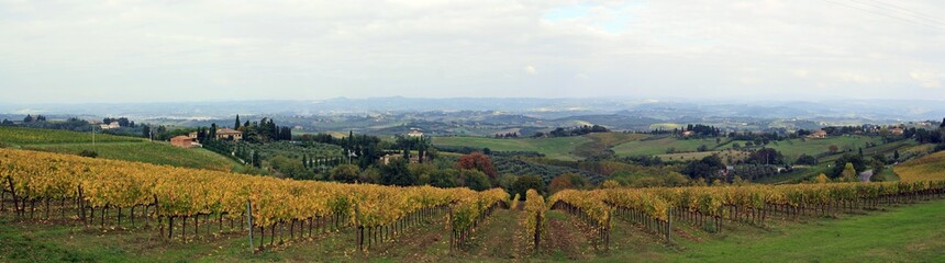 Fototapeta na wymiar Panorámica de los Viñedos de San Gimignano en La Toscana, Italia.
