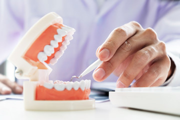 dentist with tooth model in dental office or clinic