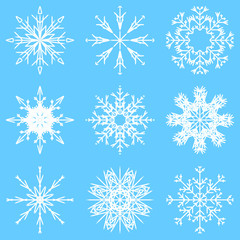 Fototapeta premium Vector collection of artistic icy abstract crystal snow flakes isolated on background as winter december decoration group or collection. Ice or frost beautiful star ornament silhouette or season art