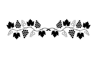 Vector illustration. Black outline (contour) of crossed grape branches with leaves isolated on white background. Decorative design element for wine menu as border for text divider and page decoration.