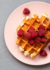 Belgian waffle with raspberries on pink plate over concrete background, top view. Close-up.