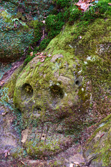 Blurred background green moss on the stone and brick walls in Bali.