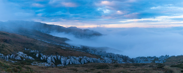 Fog in the beech forest,  Los Machucos o Colláu Espina, located at 921 metres, Valles Pasiegos,...