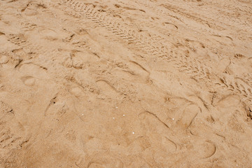 brown sand as background and texture